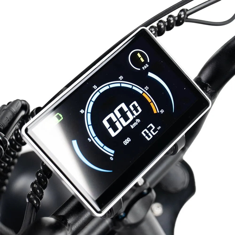 FATBIKE OUXI V8 (C80) – MODEL 2025 - HYDRAULISCHE REMMEN - ALARM