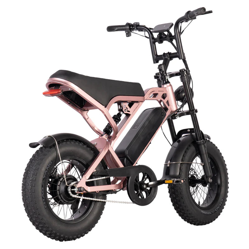 FATBIKE V20 MINI – MODEL 2025 - ALARM - HYDRAULISCHE REMMEN