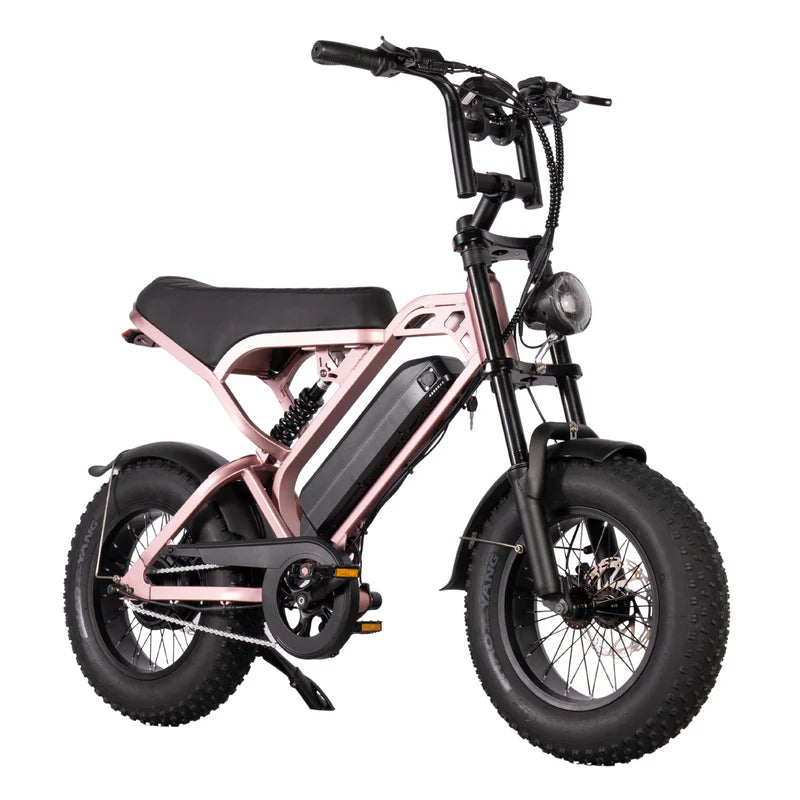 FATBIKE V20 MINI – MODEL 2025 - ALARM - HYDRAULISCHE REMMEN