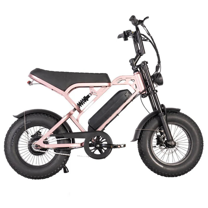 FATBIKE V20 MINI – MODEL 2025 - ALARM - HYDRAULISCHE REMMEN
