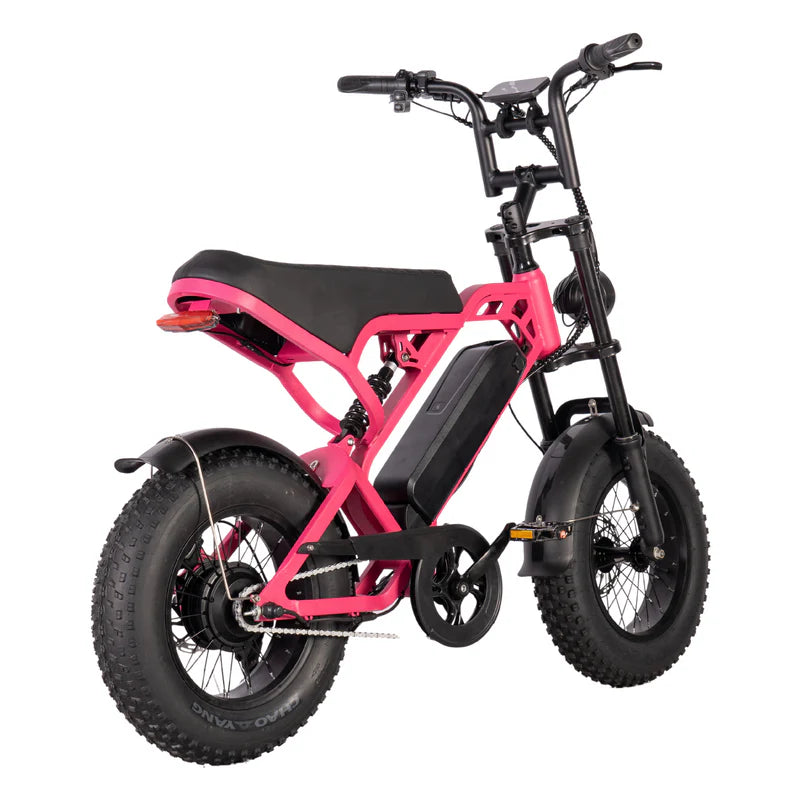 FATBIKE V20 MINI – MODEL 2025 - ALARM - HYDRAULISCHE REMMEN