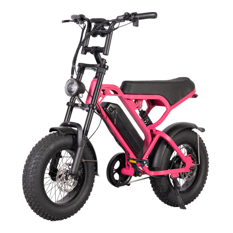FATBIKE V20 MINI – MODEL 2025 - ALARM - HYDRAULISCHE REMMEN