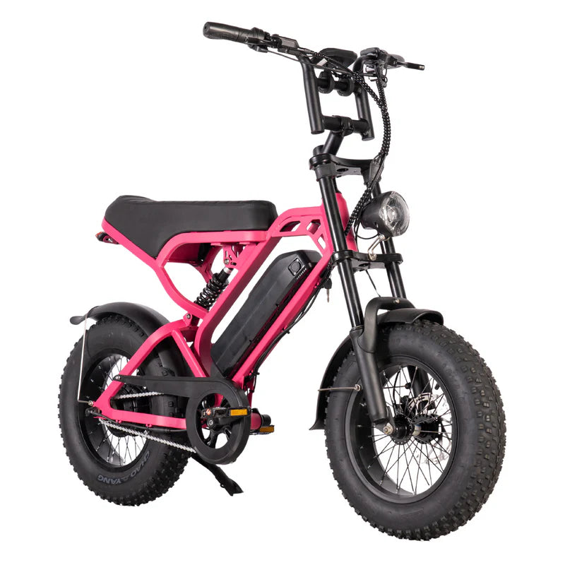 FATBIKE V20 MINI – MODEL 2025 - ALARM - HYDRAULISCHE REMMEN