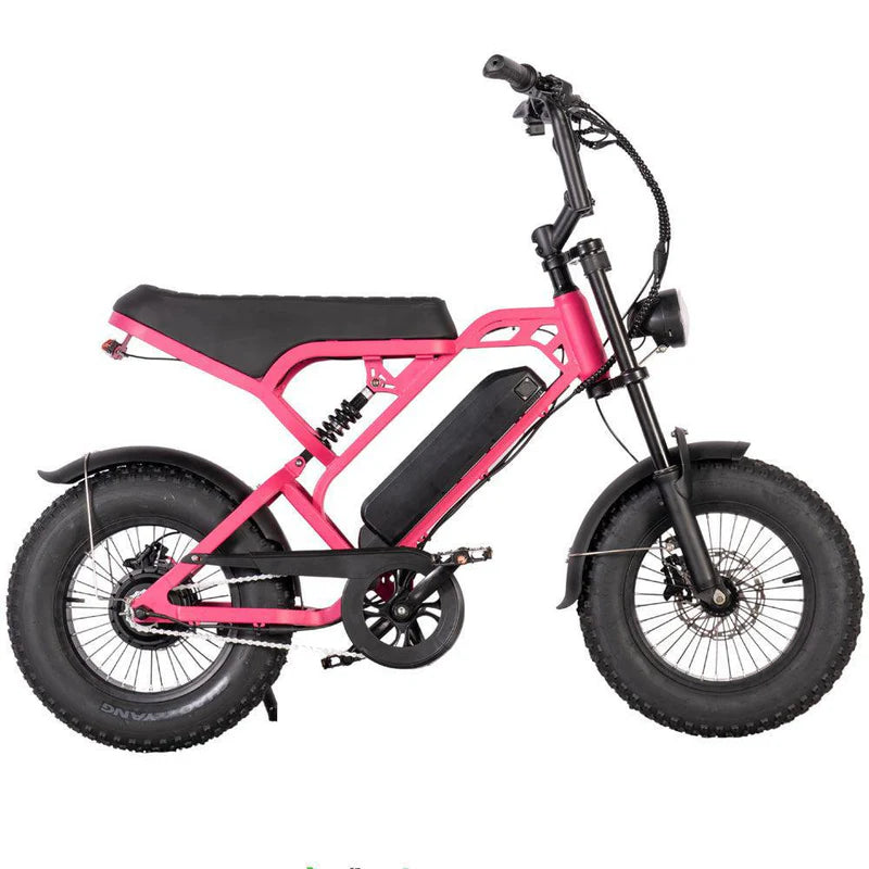FATBIKE V20 MINI – MODEL 2025 - ALARM - HYDRAULISCHE REMMEN
