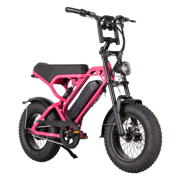FATBIKE V20 MINI – MODEL 2025 - ALARM - HYDRAULISCHE REMMEN