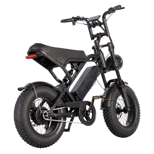 FATBIKE V20 MINI – MODEL 2025 - ALARM - HYDRAULISCHE REMMEN