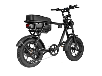 FATBIKE EB16 MINI SPECIAL EDITION - HYDRAULISCHE REMMEN - ALARM
