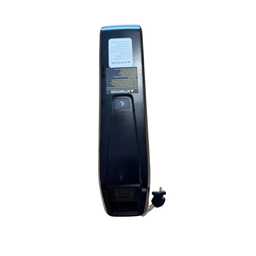 QMWHEEL V20 MINI - ACCU