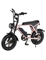 FATBIKE MINI OUXI C80 – MODEL 2025 - ALARM