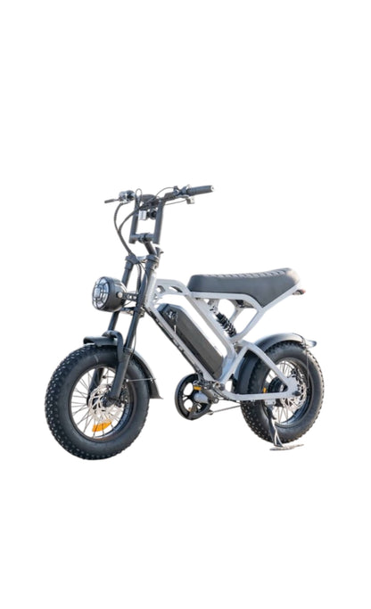 FATBIKE V20 MINI – MODEL 2025 - ALARM - HYDRAULISCHE REMMEN