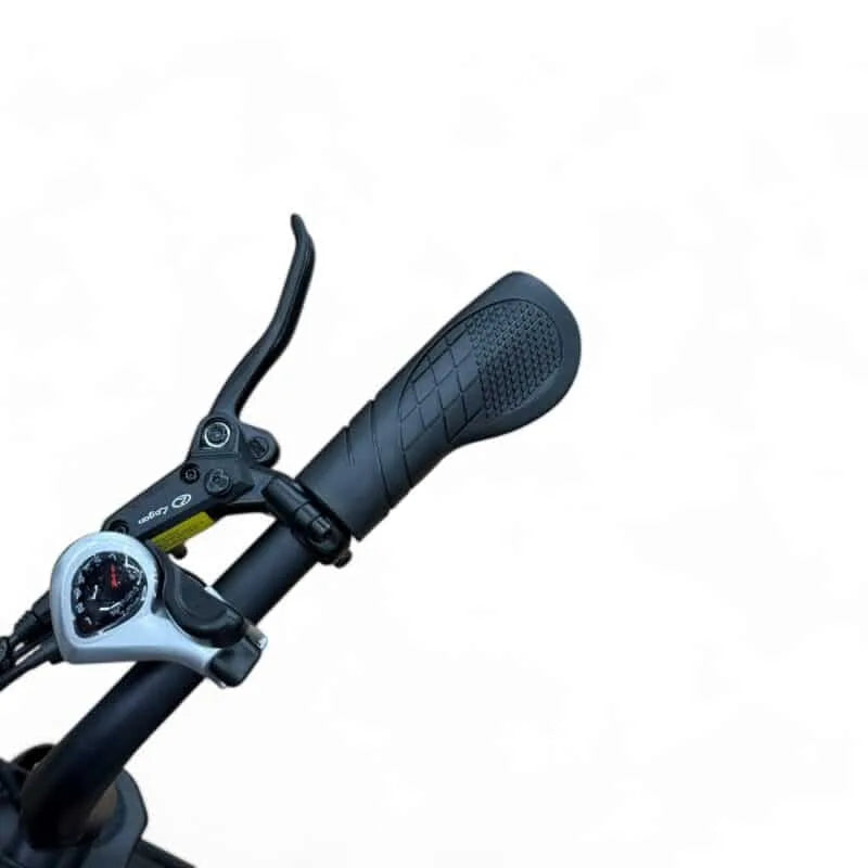 FATBIKE V20 MAX – QMWHEEL - ALARM - HYDRAULISCHE REMMEN