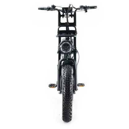 FATBIKE V20 PRO – MODEL 2026 - ALARM - HYDRAULISCHE REMMEN