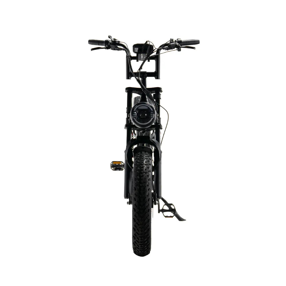 FATBIKE S20 PRO PREMIUM EDITION BLACK  – MODEL 2026 - HYDRAULISCHE REMMEN