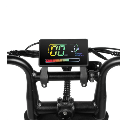 FATBIKE D50 SPECIAL EDITION – QMWHEEL - MODEL 2026 - ALARM