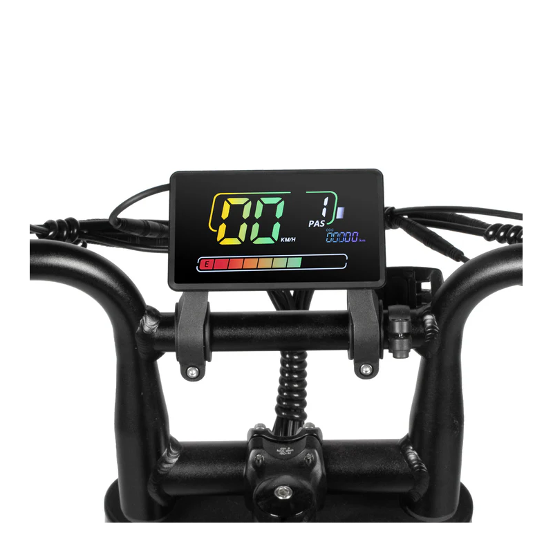FATBIKE D50 SPECIAL EDITION – QMWHEEL - MODEL 2026 - ALARM
