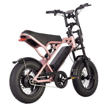 FATBIKE V20 MINI – MODEL 2025 - ALARM - HYDRAULISCHE REMMEN