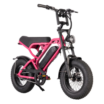 FATBIKE V20 MINI – MODEL 2025 - ALARM - HYDRAULISCHE REMMEN