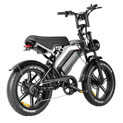 FATBIKE V20 – MODEL 2025 - MECHANIC